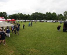 Święto Ludowe 2017